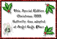 Adopt a butterfly from, Angel Bug!