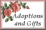 Adoptions and Gifts