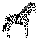 image of zebra
