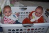 Basket Babies