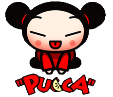 pucca
