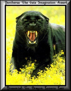 Site Imagination Award