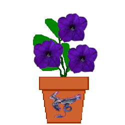 The Site Fights Spirit Flowers