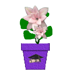 The Site Fights Spirit Flowers