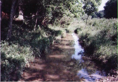 creek (47968 bytes) 