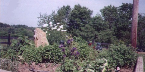 Garden (46087 bytes) 