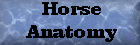 Anatomy of a Horse