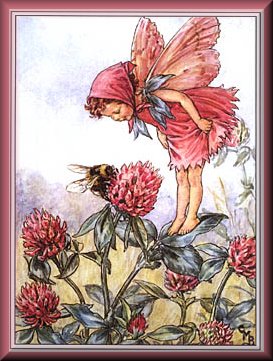 Cicely Mary Barker's Fairies