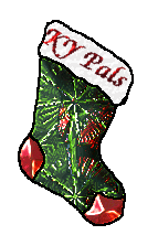 Get your Xmas Stocking here