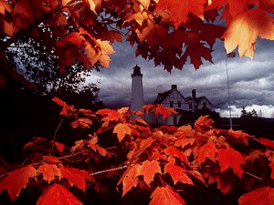 A gift from Tina,a Lighthouse friend-(Thanks Tina~!)