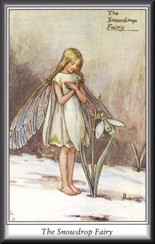 Cicely Mary Barker's Fairies