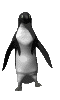 Dancing Peguin
