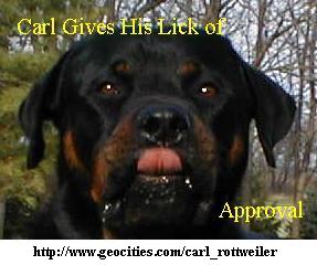 Carl's Lick of Approval