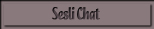 sesli Chat