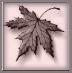 7300 Sahih Hadis-i Şerif / Buhari-Tırmizi-M�slim'den derlenmiş