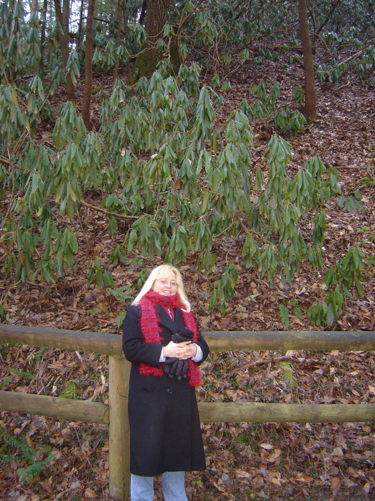 huge rhododendron at Natural Brige Resort