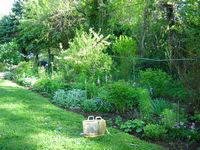 back border summer 04