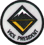 Vice President