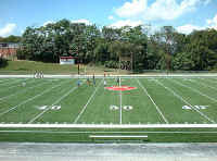 beechwood.jpg (54396 bytes)