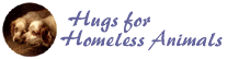 Hugs for Homeless Animals