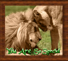 LionSleepbutton.gif(188034 bytes)