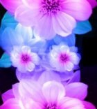 flowerbutton.jpg(155648 bytes)