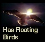 goldenbirdbutton.jpg(188034 bytes)