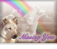 wolfrainbowbutton.gif(155648 bytes)