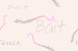Bait