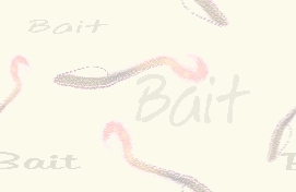 Bait