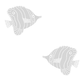 Black & White Fish