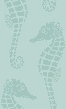 Seahorse 4