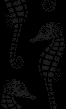 Seahorse 5