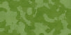 Green Camouflage