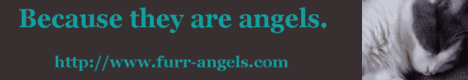 Furr Angels