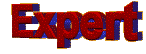 Expert