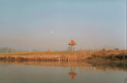 Once the inhospitable jungle of the Tarai