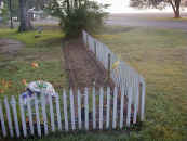 daylilybedcorner.jpg (63487 bytes)