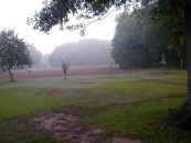 tilac2.jpg (45713 bytes)