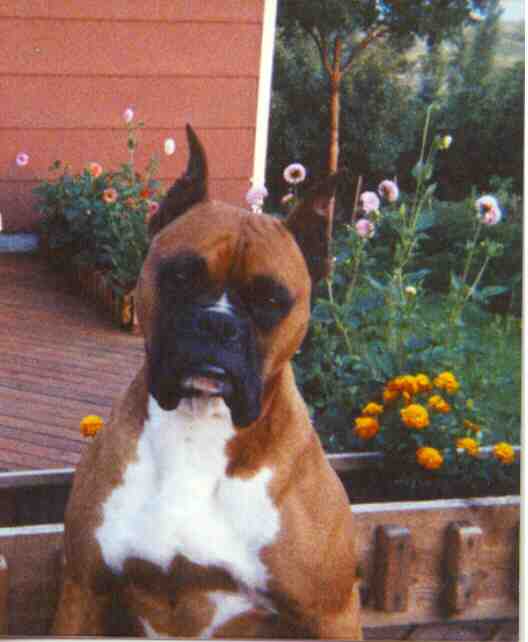 Time to stop and smell the flowers.