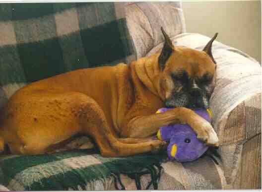 me and dino are taking a nap.