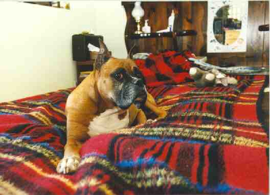 You can't be talking to me!