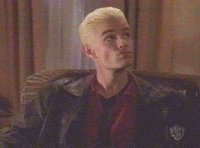 spike checks out his surroundings