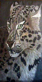 Media - Color Pencil