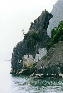 Cliff:Photo &copy; Lit Phan, Mai Dinh