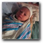 [Click to enlarge image]