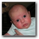 [Click to enlarge image]