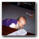 [Click to enlarge image]