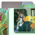 [Click to enlarge image]