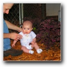 [Click to enlarge image]